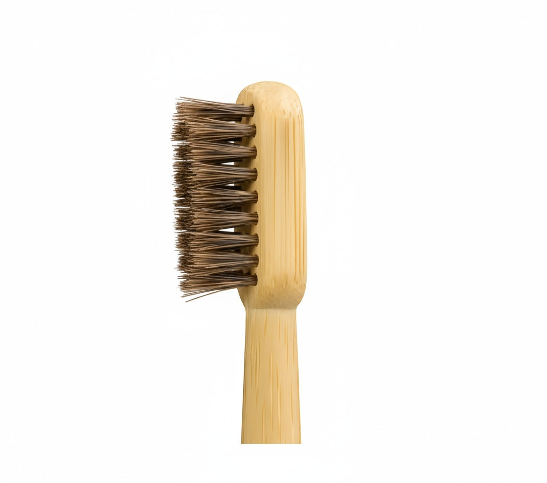 TOXIN DODGER Boar or Horse Bristle Toothbrush (4 Pack)