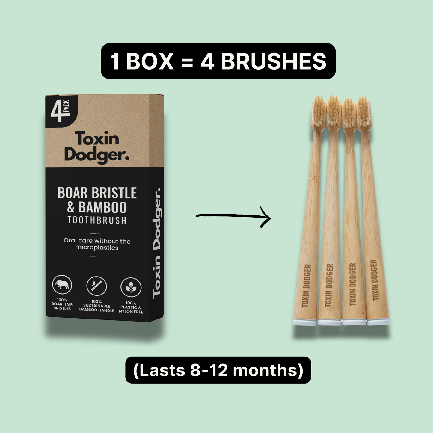 TOXIN DODGER Boar or Horse Bristle Toothbrush (4 Pack)