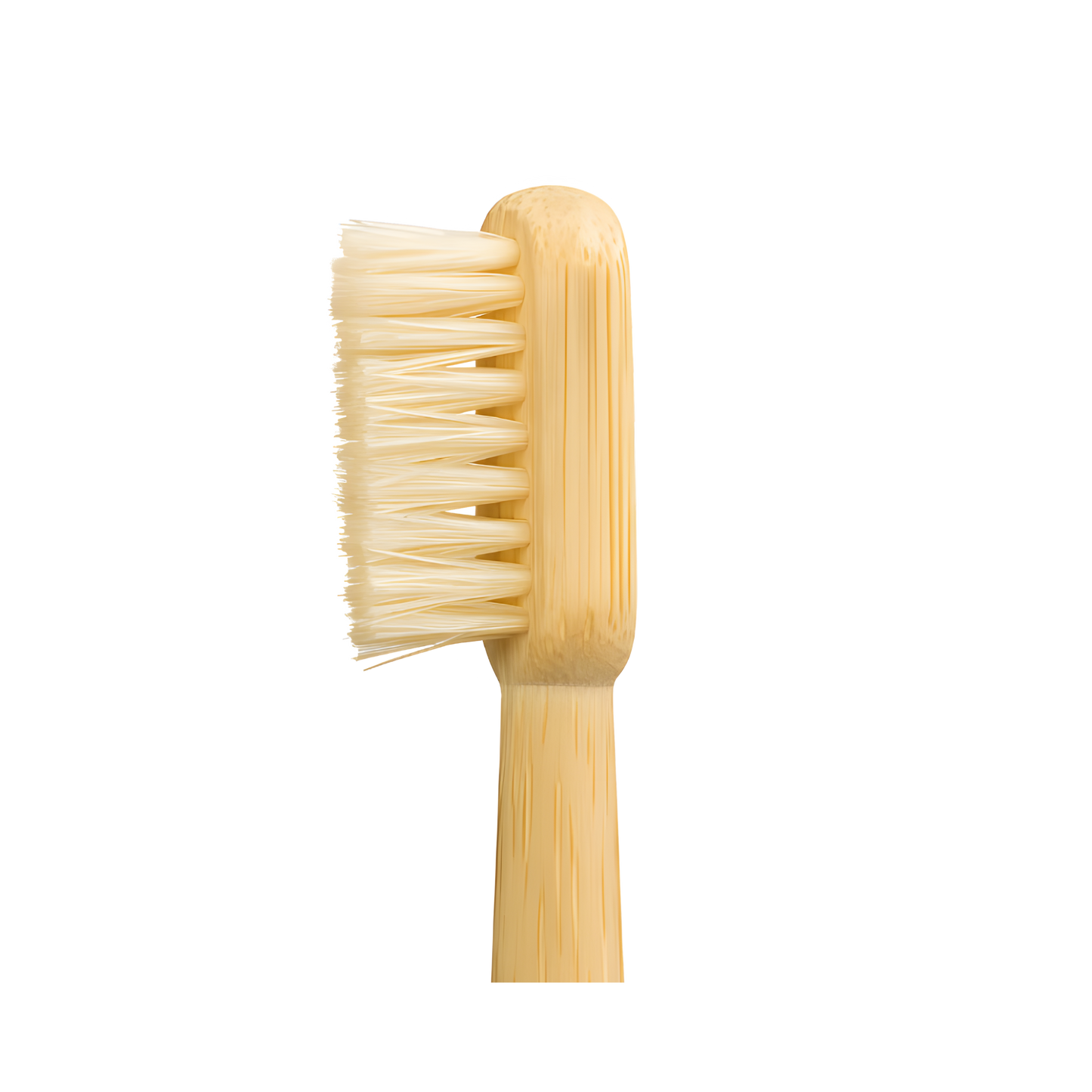 TOXIN DODGER Boar or Horse Bristle Toothbrush (4 Pack)