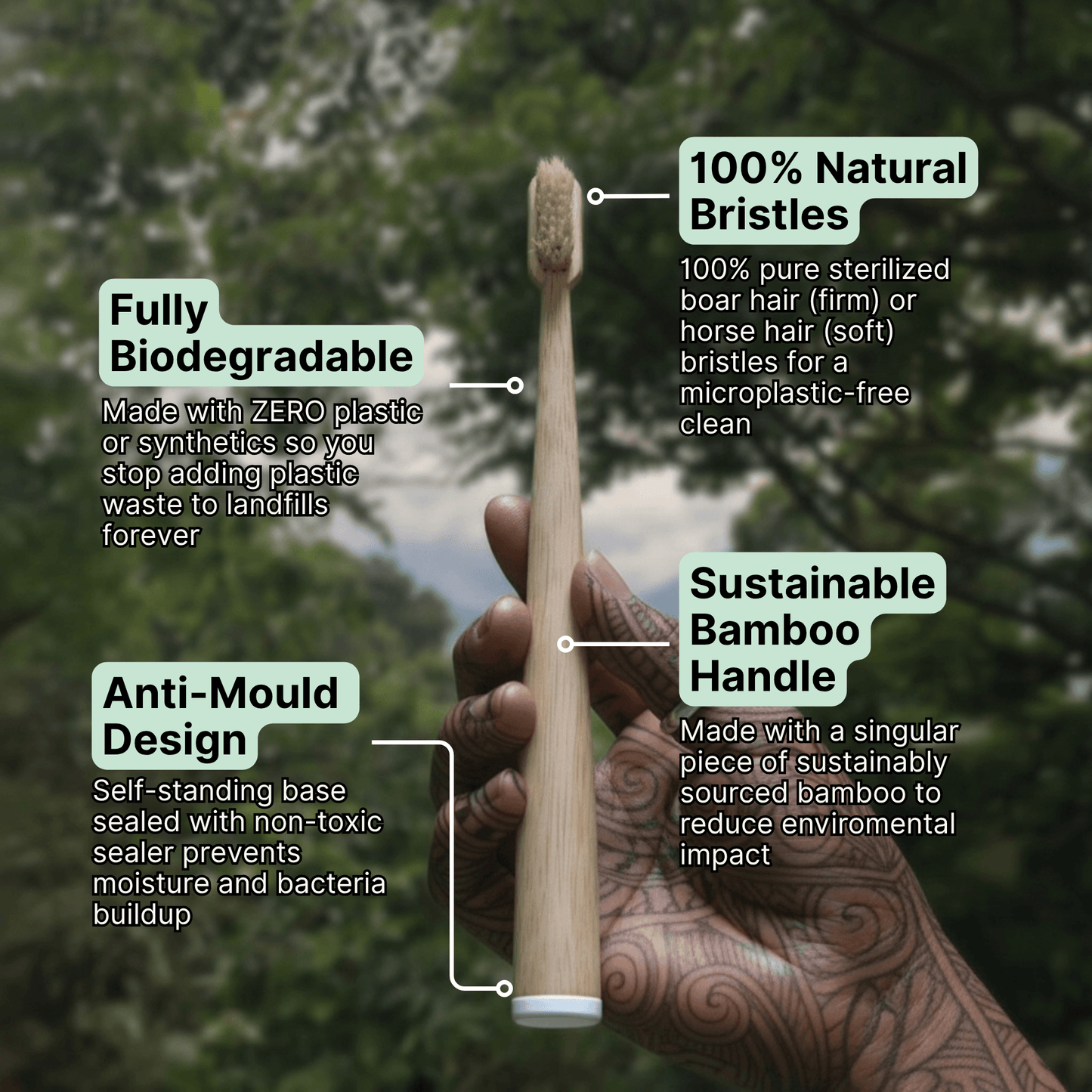 TOXIN DODGER Boar or Horse Bristle Toothbrush (4 Pack)