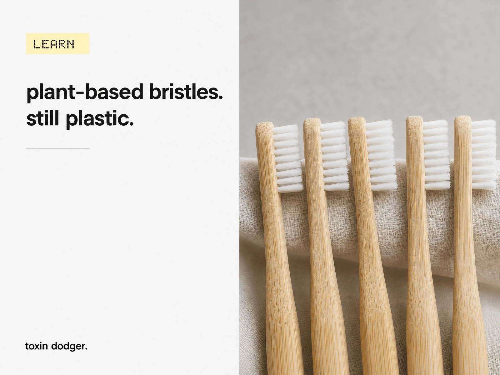 Castor bean oil bristles: what they are, and whether they are actually plastic-free - Toxin Dodger