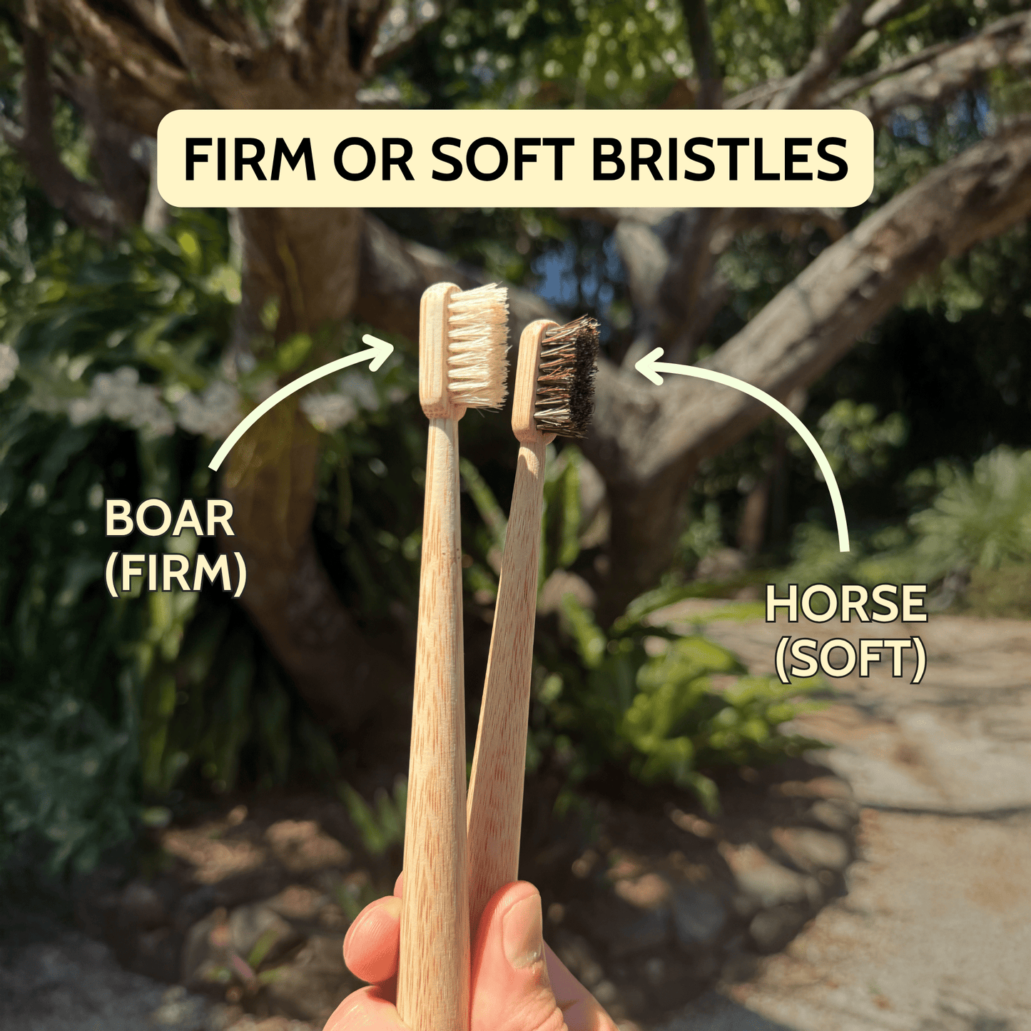 Boar or horse bristle toothbrush (4 Pack) - Toxin Dodger