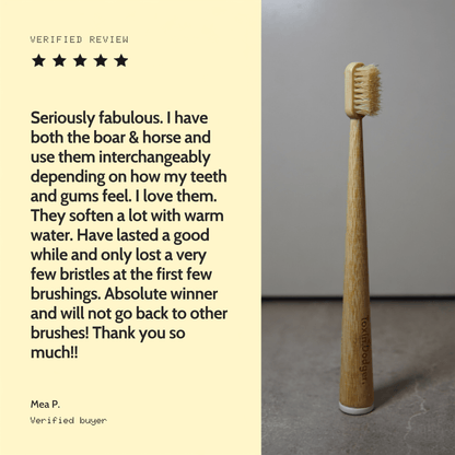 Boar or horse bristle toothbrush (4 Pack) - Toxin Dodger
