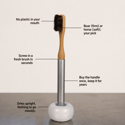 Natural Bristle Toothbrush System (Starter Pack) - Toxin Dodger