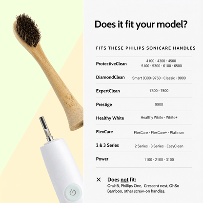 Natural Bristle Electric Toothbrush Heads (Sonicare Compatible) - 4 pack - Toxin Dodger