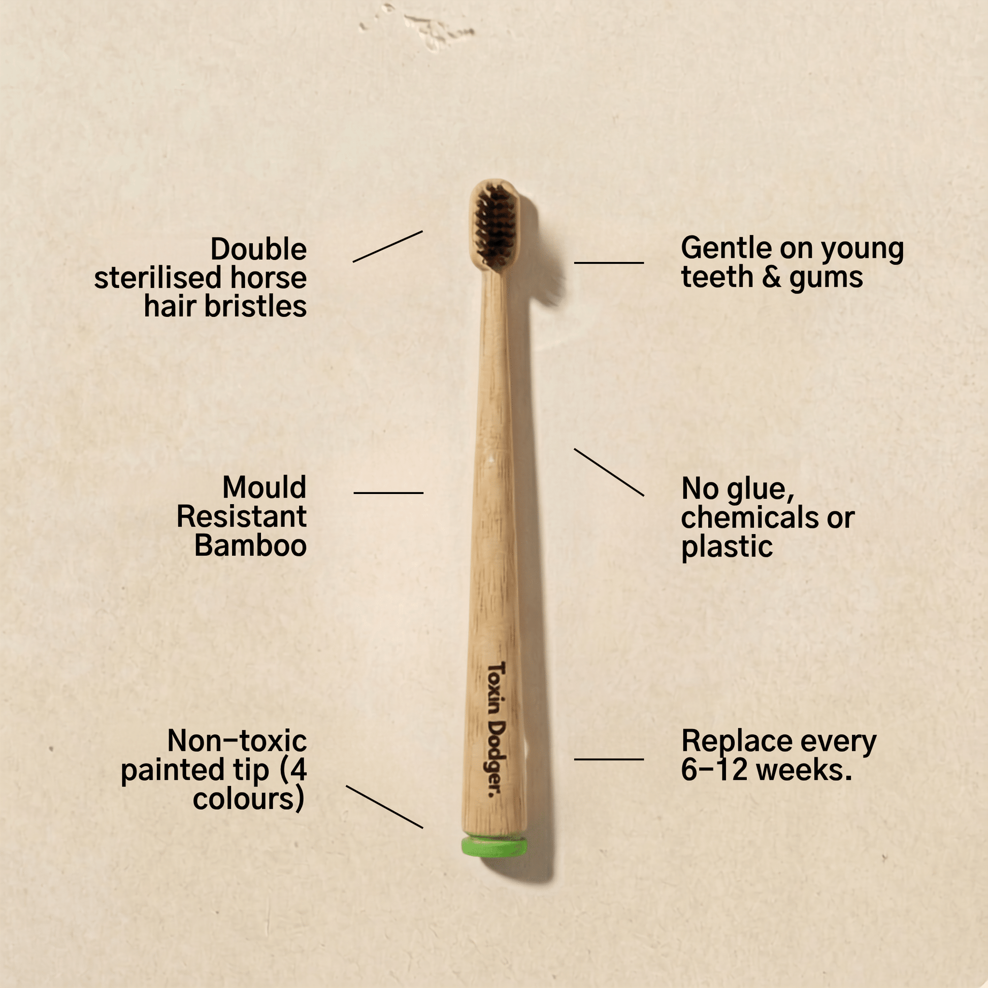 KIDS Natural Bristle Toothbrush (4-pack) - Toxin Dodger