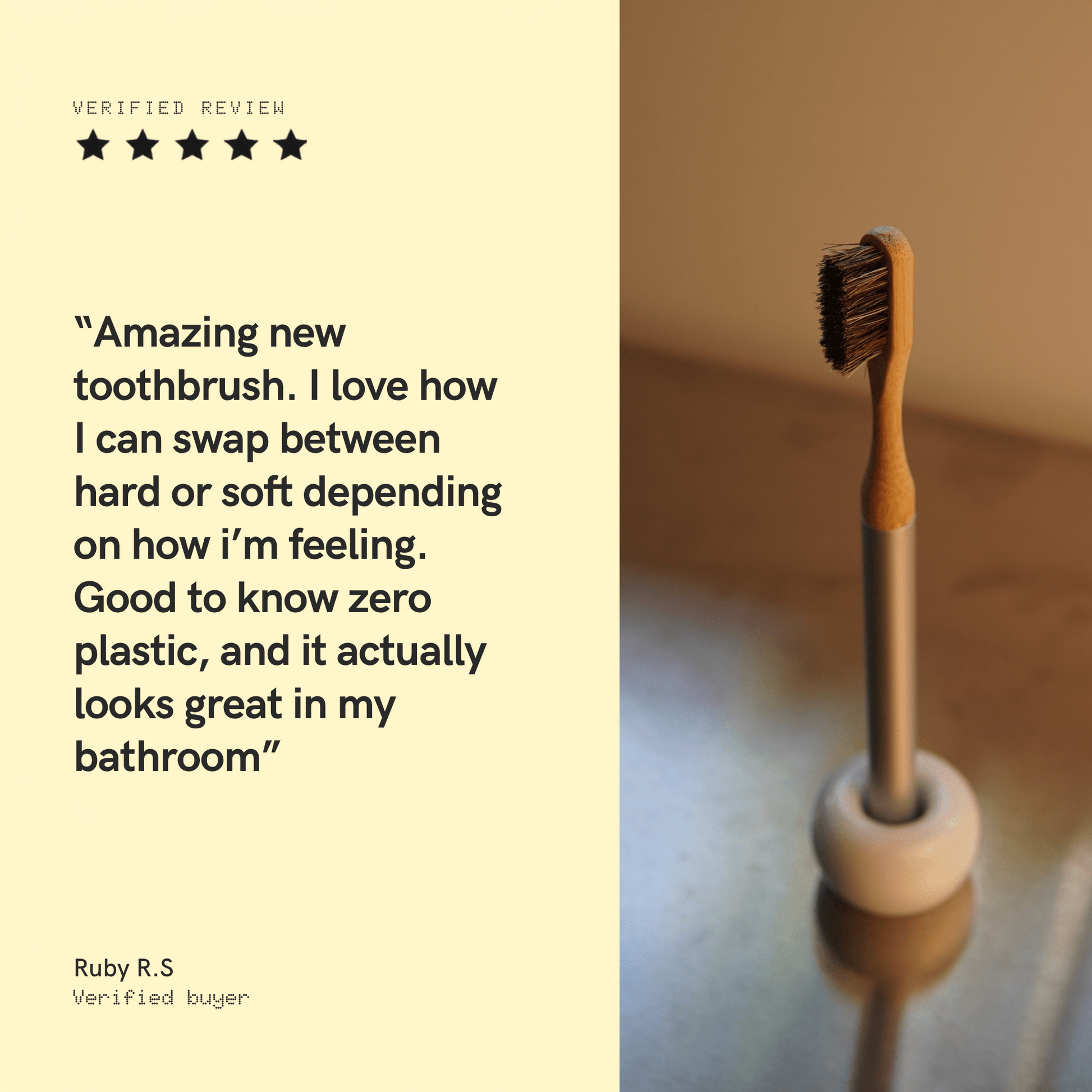 Natural Bristle Toothbrush System (Starter Pack) - Toxin Dodger