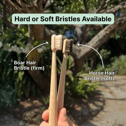 TOXIN DODGER Boar or Horse Bristle Toothbrush (4 Pack)