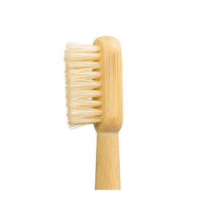 TOXIN DODGER Boar or Horse Bristle Toothbrush (4 Pack)