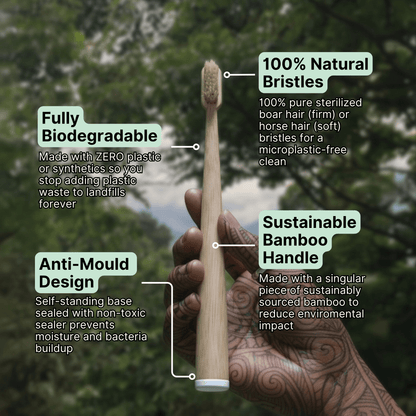 TOXIN DODGER Boar or Horse Bristle Toothbrush (4 Pack)