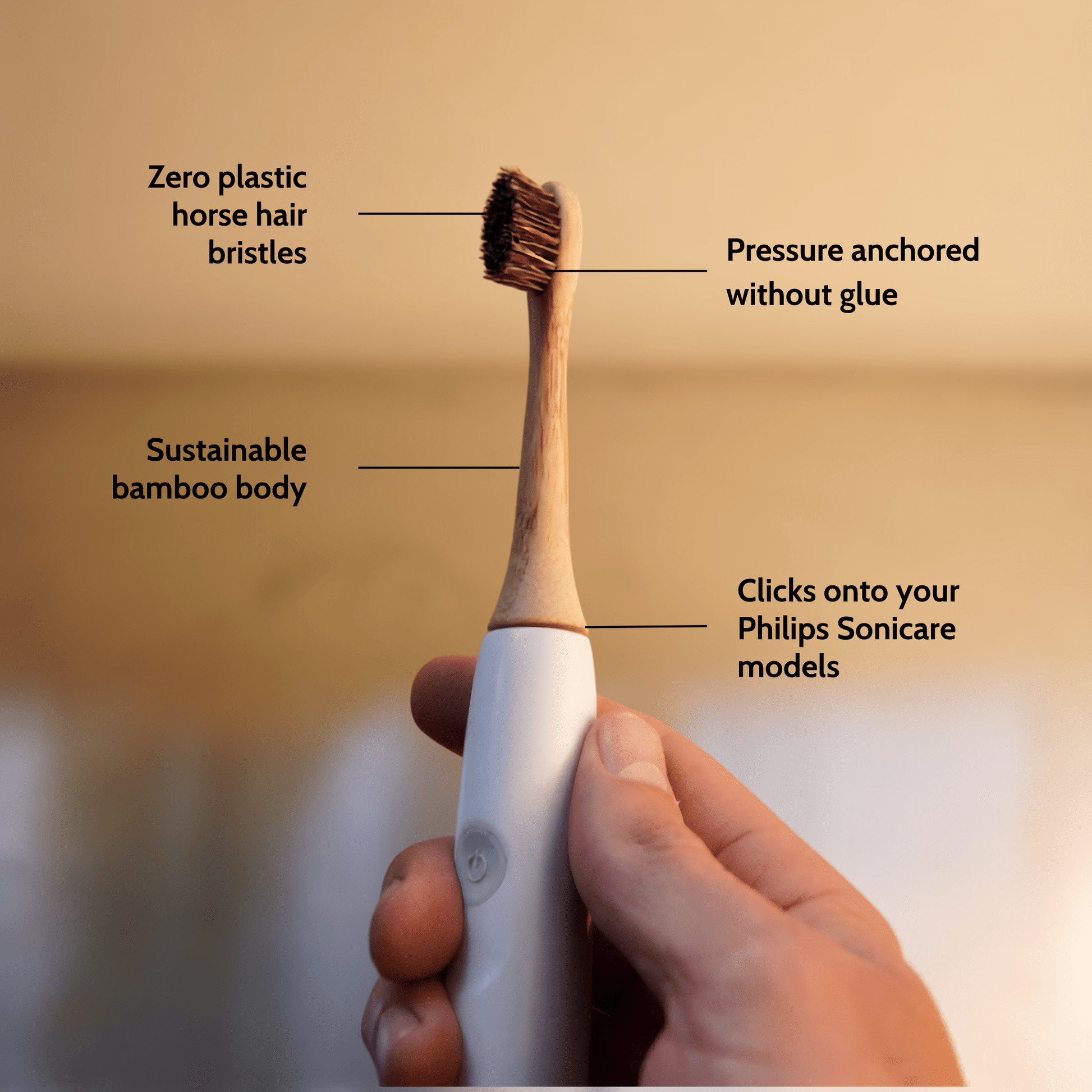 Natural Bristle Electric Toothbrush Heads (Sonicare Compatible) - 4 pack - Toxin Dodger