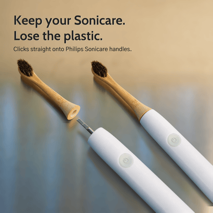 Natural Bristle Electric Toothbrush Heads (Sonicare Compatible) - 4 pack - Toxin Dodger