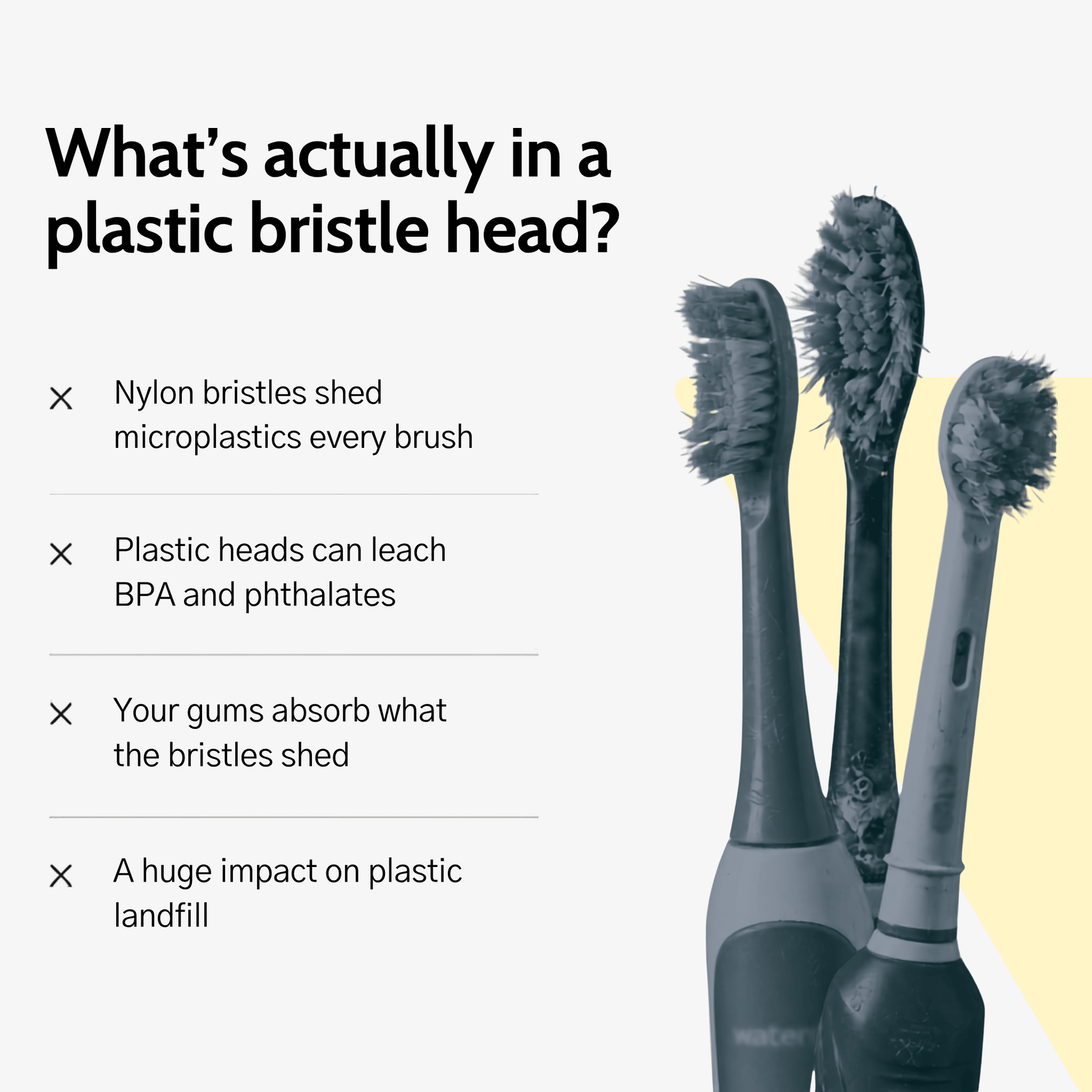 Natural Bristle Electric Toothbrush Heads (Sonicare Compatible) - 4 pack - Toxin Dodger