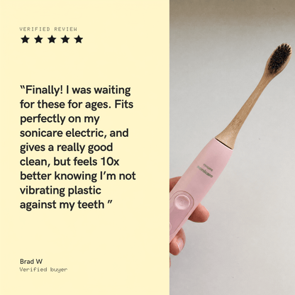 Natural Bristle Electric Toothbrush Heads (Sonicare Compatible) - 4 pack - Toxin Dodger